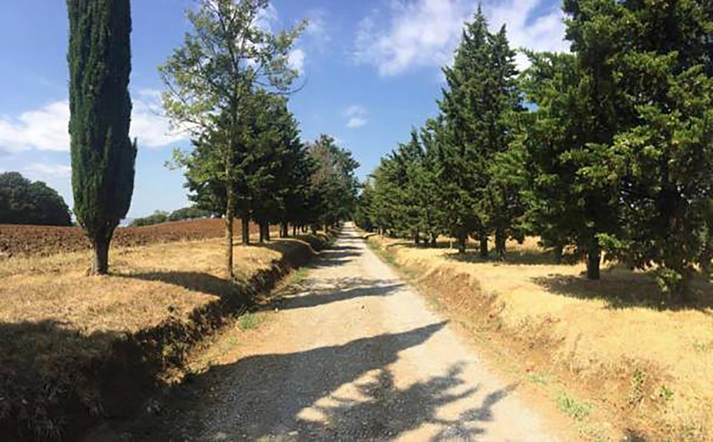 Agriturismo IPoderi Pietraporciana Chianciano Terme Exterior foto